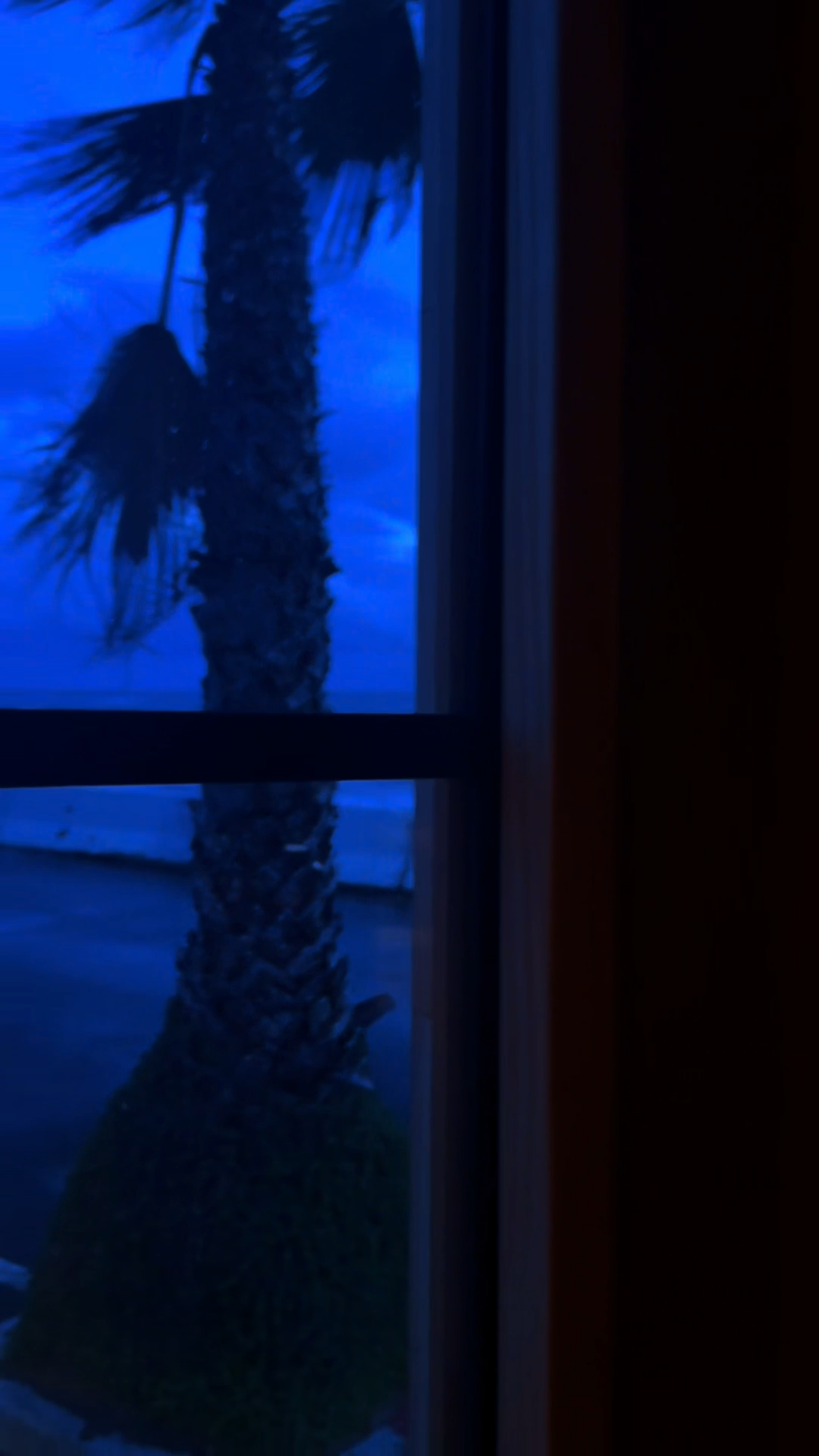 Blue-hour view through the sauna window